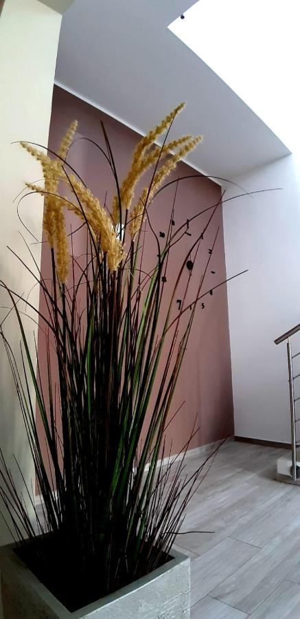 B&B Filieri Санта-Марія-аль-Баньо Екстер'єр фото